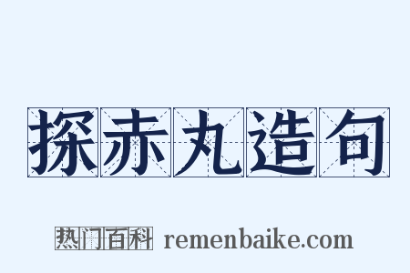 探赤丸造句是什么意思的图片